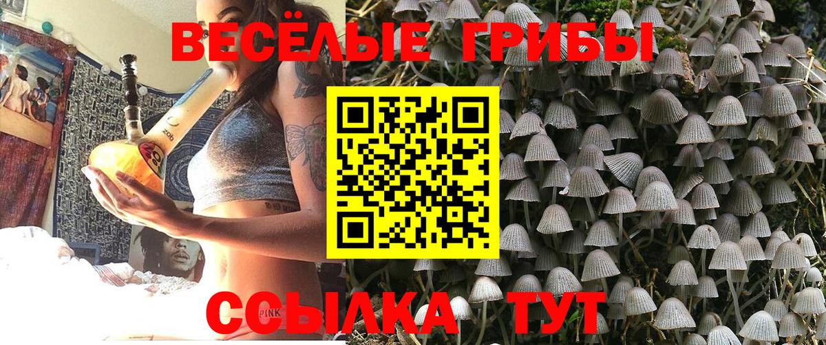 где купить наркоту  Вход с VPN  Трёхгорный  Галлюциногенные грибы мицелий  Псилоцибиновые грибы MAGIC MUSHROOMS 