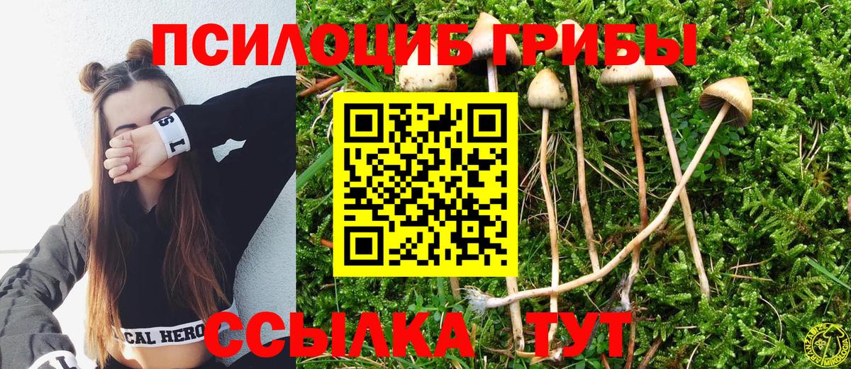 Псилоцибиновые грибы MAGIC MUSHROOMS Трёхгорный